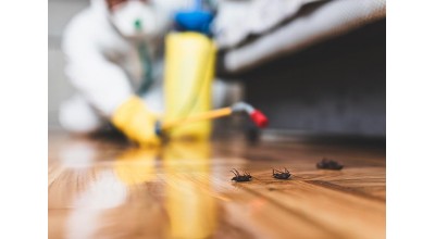 Insecticides et Anti-Nuisibles